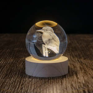 Lamps: Kingfisher LED Globe