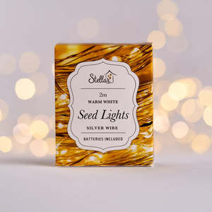 Lamps: 2m Silver Warm White 20LED Seed Light String