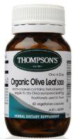 Natural Antiviral Antibiotics: Thompsons Organic Olive Leaf Capsules 5000mg Capsules 60 DISCONTINUED