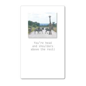 Magnets: Magnet - You're head and shoulders above the rest