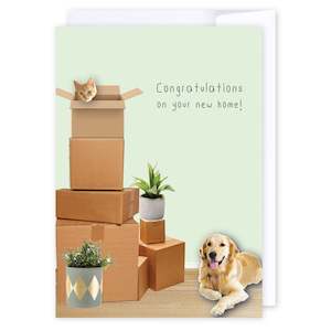 Congratulations: New home cat and dog