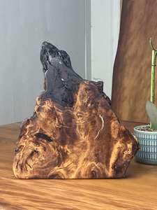 Ancient kauri (Swamp kauri ) natural shape art pieces collection