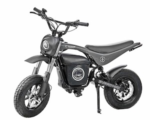 TT1600R Thunderbolt Utility Bike Iconic Mini Bikes
