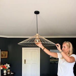 Products: Richmond Wire Pendant Light