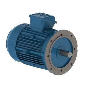 W22Xtb E3 Motor 2.2KW 3PH 4P Foot & A Flange L100L IP66 B35
