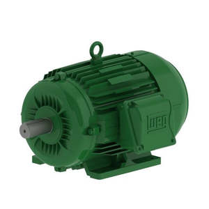 W22 Motor 4kW 3Ph 4P Foot & A Flange 112M IP66 B35