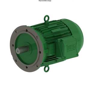 Motors Pumps Actuators 11: W22 Motor 4kW 3Ph 4P A Flange 112M IP66 B5