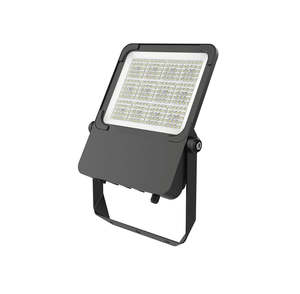Bright Star II Floodlight 100 Power Select TC Dim Bk