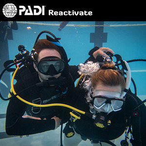 Recreational Courses: PADI Reactivate (4 Day Option)