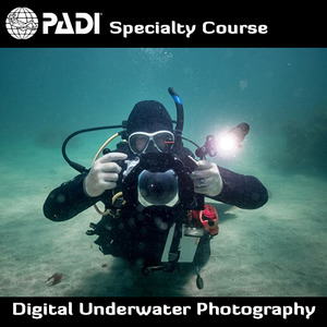 Speciality Courses: PADI Digital Underwater Photography Speciality