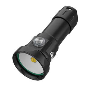 Video Lights: DivePro D40F Super Compact Underwater Photo/Video Light (4200 Lumens)