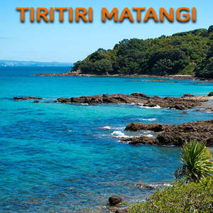 Xmas Gift Ideas: Tiritiri Matangi Island Dive Trip (2 Dive Trip)