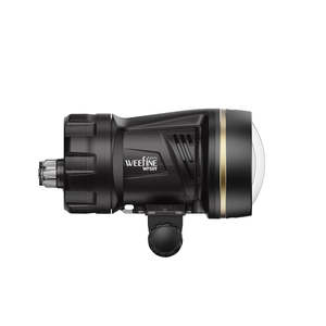 Video Lights: WFS09 Mini Ring Strobe