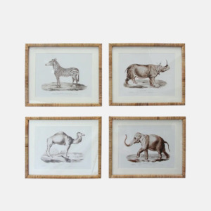 Animal Prints Set of 4