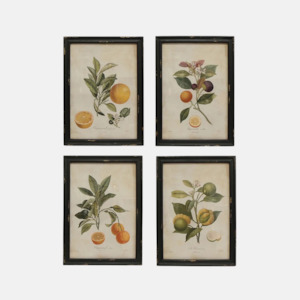 Botanical Wall Art Set 4