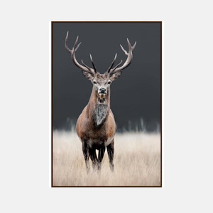 New Arrivals: Royal Stag Canvas