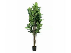 Products: Artificial Plant Rubber Tree 160cm