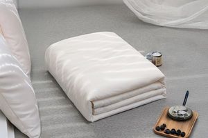 Bedroom: JACQUARD Soybean Fiber Cotton Quilt (210x210cm)