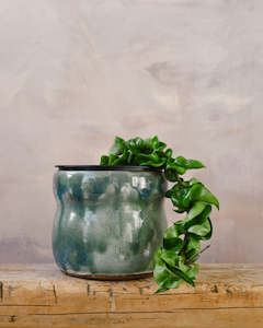 Hoya: Hoya Hindu Rope