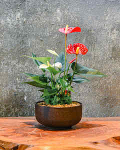 Gifts: Flamingo Duo - Crimson Cloud