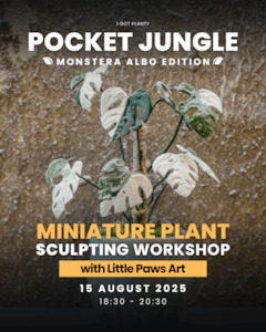 Pocket Jungle - Monstera Albo