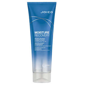 Dry Hair: JOICO Moisture Recovery Conditioner 250ml