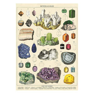 They Them: Cavallini Vintage Poster Mineralogie 1