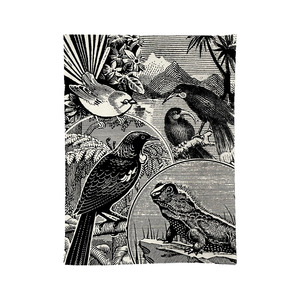 Tea Towels 1: 100% NZ Stamp Tea Towel