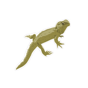 Iko Iko Stickers For Discount 3 Get 4th Free: Iko Iko Fun Size Sticker Tuatara