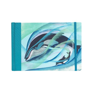Back To School 1: Eileen Mayo Journal Humpback and Bottlenose