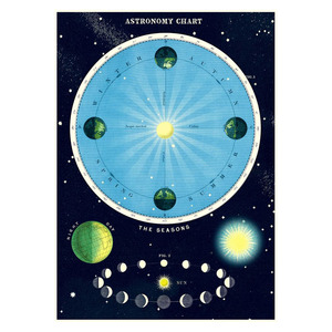 Popular Brands: Cavallini Vintage Poster Astronomy Chart