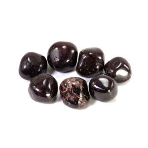 Decor: Mini Tumbled Gemstone Garnet