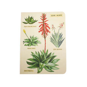 Popular Brands: Cavallini Mini Notebook Succulents Grid
