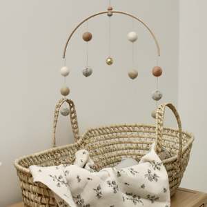 Products: Angel Caller Mobile