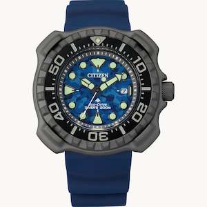 Promaster Marine: PROMASTER DIVER BN0227-09L
