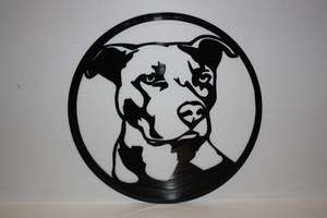 Animals Hunting: Pitbull