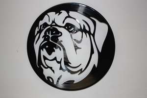 Animals Hunting: Bulldog