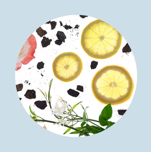 Products: Fresh & Energising Fragrance Bundle 30ml - Illumina Candle Supplies
