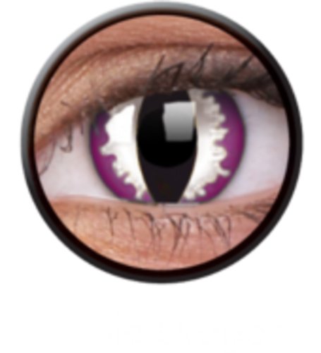 Products: Purple dragon