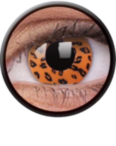 Products: Yellow leopard