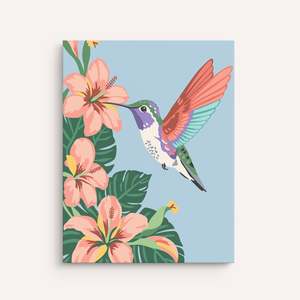 Products: Hummingbird