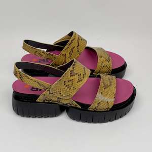 Art 1: Art 1881 snake