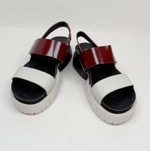 Art 1: Art 1881 burdeos