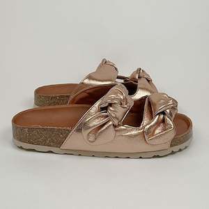 Verbenas: Verbenas rain monrovia