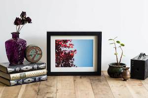 Frames: Box Frame - Black