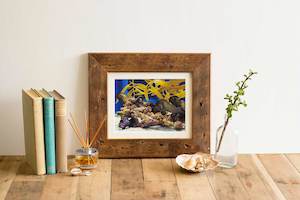 Frames: Recycled Rimu Frame