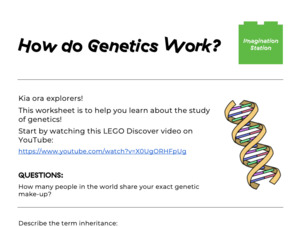 How do Genetics Work?