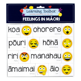 Magnetic Maori Feelings - Emojis Te Reo Teaching Resources