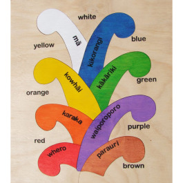 Coloured Koru Wooden Puzzle Maori Puzzles