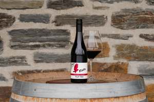 Frontpage: Ruru Cellar Door Selection Pinot Noir 2023